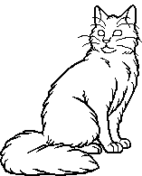 Guess that cat based off the oddly designed Warriors Wiki sprite