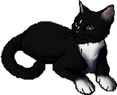 StarClan Version