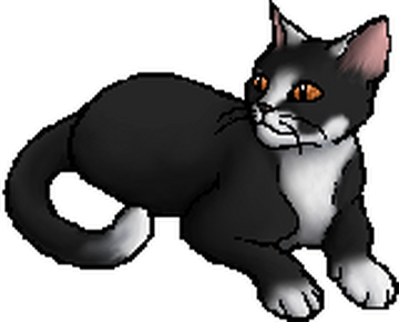 Tigerstar (TPB), Warriors Wiki, Fandom