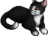 Swiftpaw (TPB)