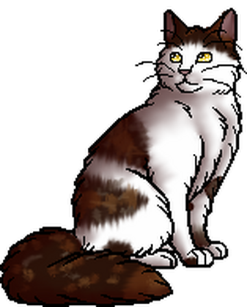 Cats of the Clans, Warriors Wiki