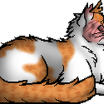 sandstorm (warrior cat) Animated Picture Codes and Downloads  #96851196,497307337