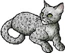 StarClan Version