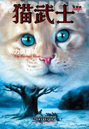 Alternate Simplified Chinese Language Edition Released in China