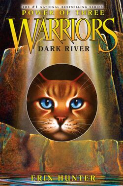 Warriors Cat Series 3 Power of Three 1 - 6 Books Collection Set By Erin  Hunter