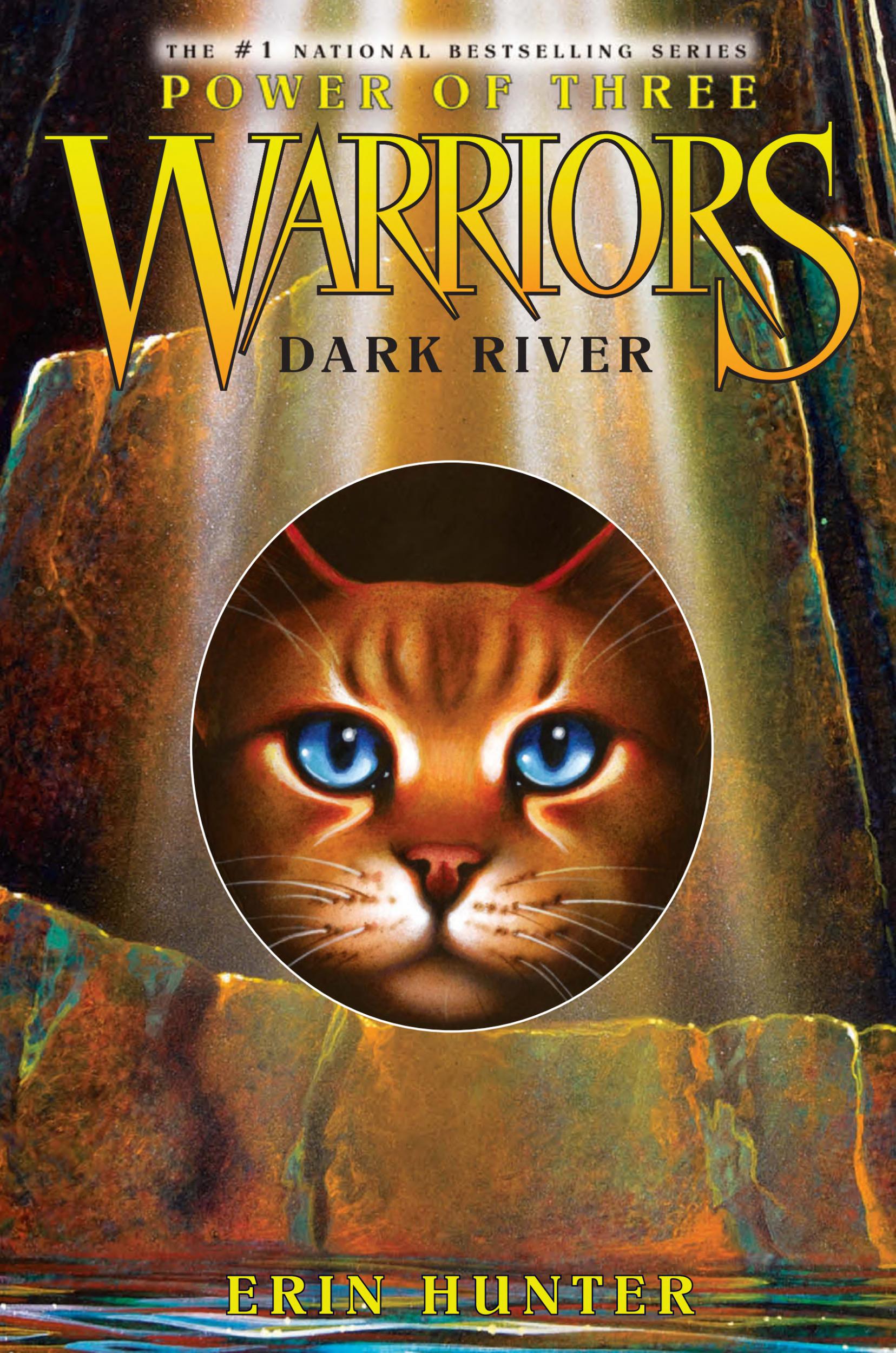 Warrior Cats: Series 3 The Power of Three by Erin Hunter 6 Books