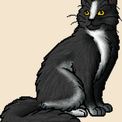 Who would you bring back to life? (Art is on the warriors wiki) : r/ WarriorCats