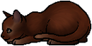 Kit Version