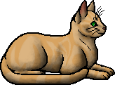 sandstorm (warrior cat) Animated Picture Codes and Downloads  #96851196,497307337