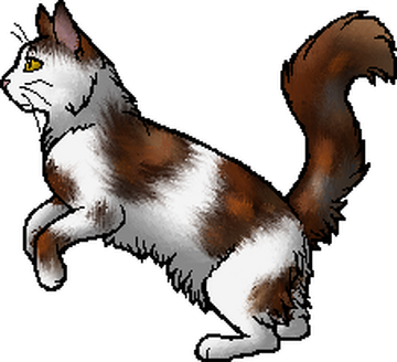 A Deep Dive Into The Warrior Cats Fandom 