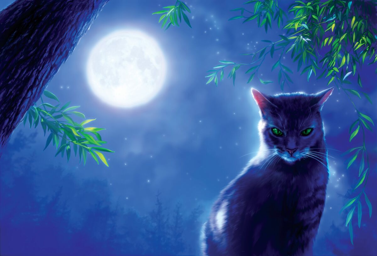 Windclan Warrior cat Game  Warrior cats art, Warrior cats, Warrior cat  drawings