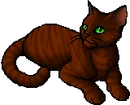 Sharpclaw (SkC).star.png (14 KB) StarClan Version