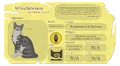 Whistlebreeze.Website10.png (2.07 MB) Whistlebreeze's Warriors website fact sheet for A Starless Clan