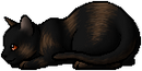 Kit Version