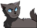 Cinderpelt in The Prophecies Begin, volume 1