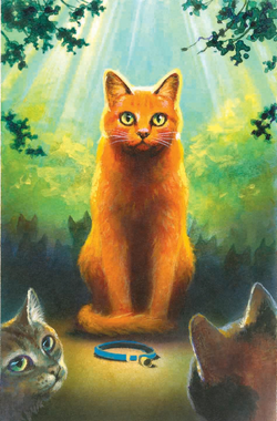 Firestar's Quest/Allegiances, Warriors Wiki