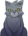 Graystripe on the cover of The Lost Warrior