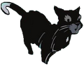 Ravenpaw in A Shadow in RiverClan