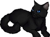 Cinderpelt