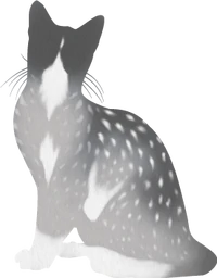 Kestrelflight was Whistlebreeze's mentor, but he was angry with her for breaking his trust.