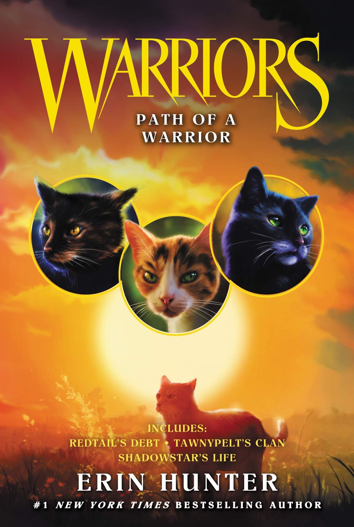 Warriors Super Edition: Tigerheart's Shadow eBook by Erin Hunter - EPUB Book