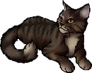 Stripebark.star.png (25 KB) StarClan Version
