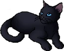Stormtail.star.png (11 KB) StarClan Version