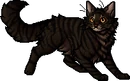Tigerstar (AVoS).apprentice.png (24 KB) Apprentice Version