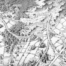 The Forest Territories Warriors Wiki Fandom