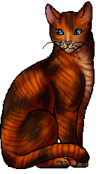 Happy April Fools Day!, in Warriors Wiki. : r/WarriorCats