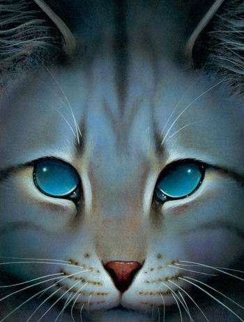 21421 - safe, artist:biohazardia, bluestar (warrior cats), firestar (warrior  cats), lionheart (warrior cats), cat, feline, mammal, feral, warrior cats,  beanbrows, blue eyes, blue fur, cheek fluff, chest fluff, collar, ear  fluff, female