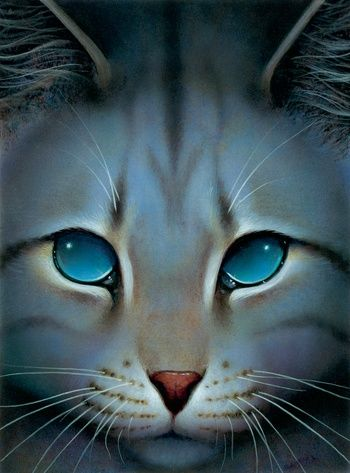 Warrior Cats Inner Glow Firestar Jayfeather Tigerstar Graystripe Blues – A  Birthday Place