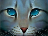 Jayfeather