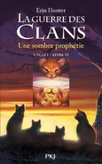 Alternate French Language Edition Released in France