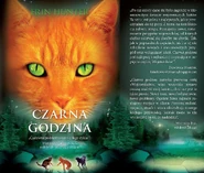 Polish Language Edition Front Flap