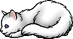 Cloudtail.kit