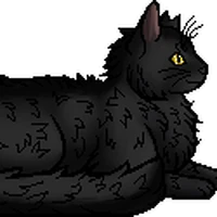 Graystripe Warriors Wiki Fandom Graystripe deviantart warrior cats cat warriors tree books painting reader fan greystripe climbing quotes drawing wallpapers closed artwork am drawings. graystripe warriors wiki fandom
