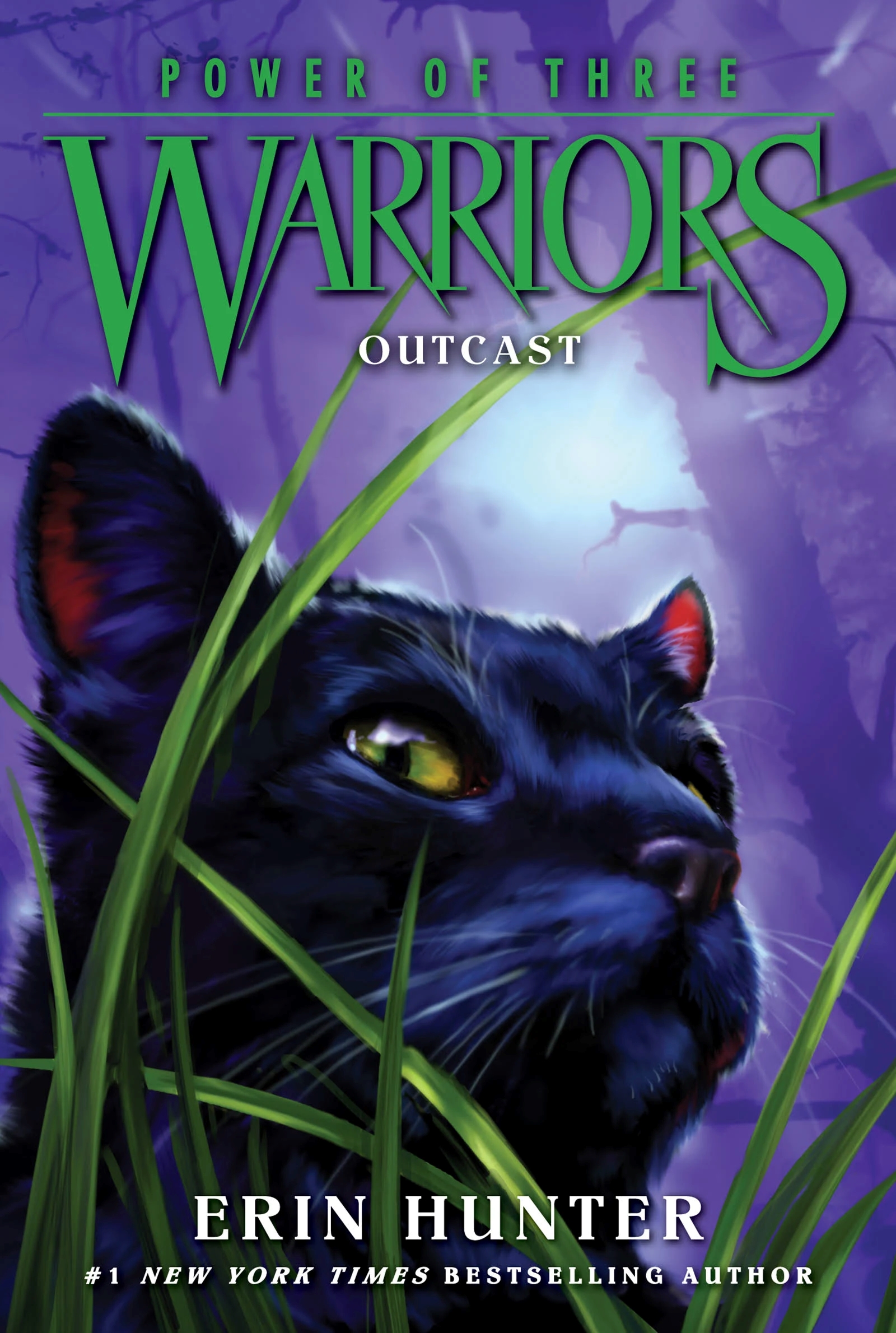 Warrior Cats Volume 13 to 24 Books Collection Power of Three, Omen Of The  Stars