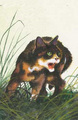 Tawnypelt in The New Prophecy