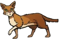 Clovertail.SS.png (98 KB) Clovertail in SkyClan and the Stranger