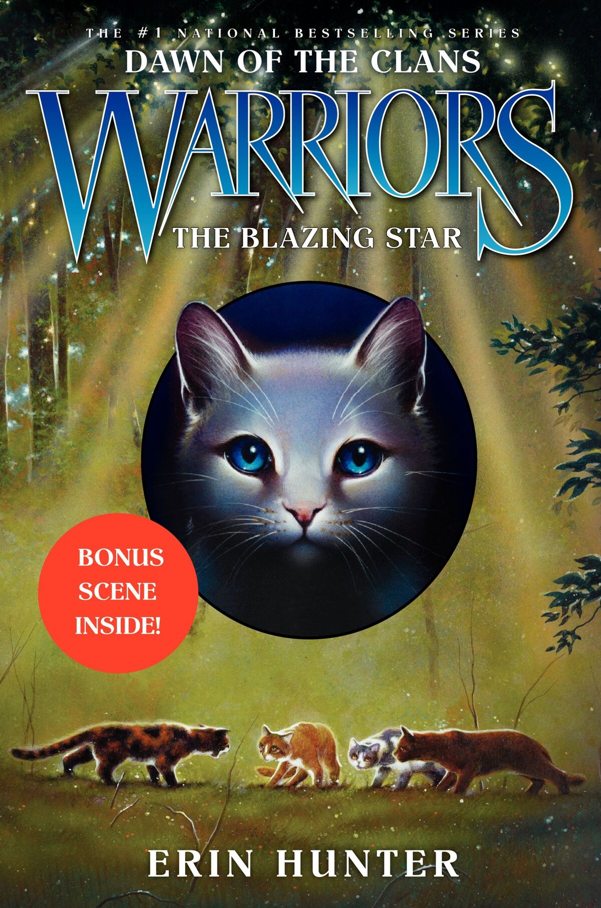 Warriors The Broken Code Lost Stars Book l Official Warrior Cats Store