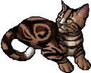 StarClan Version