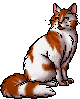 Flamepaw (TC), Warriors Wiki, Fandom