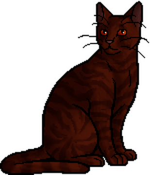 Thunderclan Warrior Cat Wiki Fandom Powered By Wikia - Warrior