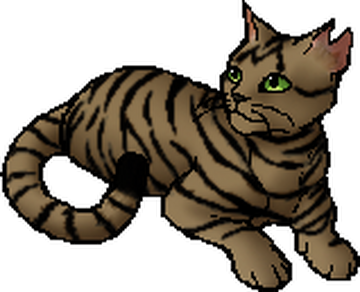 Tigerstar (TPB), Warriors Wiki, Fandom