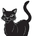 Nightcloud.SE-11.png (35 KB) Nightcloud in Crowfeather's Trial