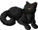 StarClan Version