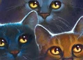 Jayfeather.PO3-1-4.png (362 KB) Alternate artwork of Jayfeather on the cover of The Sight