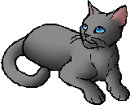 StarClan Version