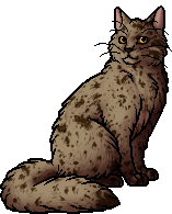 Ashfur: how he became how he is by Leafpaw – BlogClan